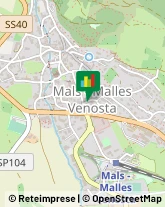 Veterinaria - Ambulatori e Laboratori Malles Venosta,39024Bolzano