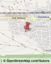 Autotrasporti Delebio,23014Sondrio