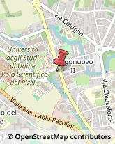 Assicurazioni,33100Udine