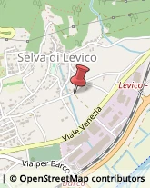 Falegnami Levico Terme,38056Trento