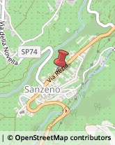 Aziende Agricole Sanzeno,38010Trento