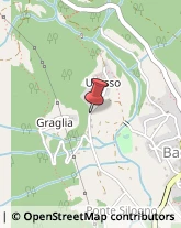 Idraulici e Lattonieri,28861Verbano-Cusio-Ossola