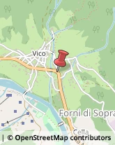 Corpo Forestale Forni di Sopra,33024Udine