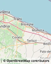 Ortofrutticoltura Trani,76125Barletta-Andria-Trani