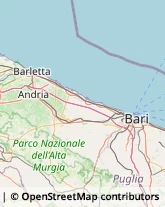 Carte da Gioco Andria,76123Barletta-Andria-Trani