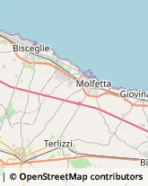 Carte da Gioco Molfetta,70056Bari