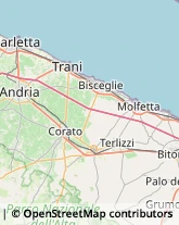 Corrieri Trani,76125Barletta-Andria-Trani