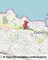 Via XX Settembre, 53,70054Giovinazzo