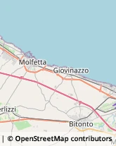 Aziende Agricole Molfetta,70056Bari