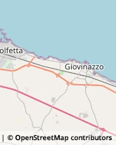 Aziende Agricole Giovinazzo,70054Bari