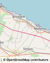 Aceto Molfetta,70056Bari