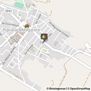 Palestre e Centri Fitness Pignataro Maggiore,81052Caserta