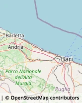 Agenzie Investigative Canosa di Puglia,76012Barletta-Andria-Trani