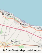 Agenzie Investigative Bisceglie,76011Barletta-Andria-Trani