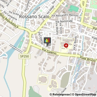 Borse - Dettaglio,87067Cosenza