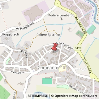Mappa Via Francesco Petrarca, 73, 59015 Carmignano, Prato (Toscana)