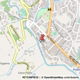 Mappa Via della ferriera 10, 52017 Pratovecchio Stia, Arezzo (Toscana)