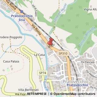 Mappa Via Roma, 17, 52015 Pratovecchio Stia, Arezzo (Toscana)