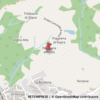 Mappa Via del Bidente, 49, 52015 Pratovecchio Stia, Arezzo (Toscana)
