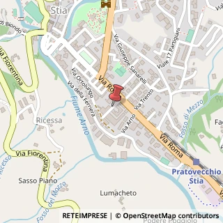 Mappa Via petrarca francesco 2, 52017 Pratovecchio Stia, Arezzo (Toscana)