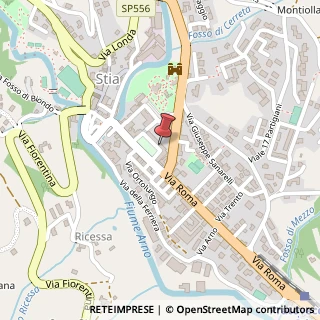 Mappa Piazza Giuseppe Mazzini, 22, 52015 Pratovecchio Stia, Arezzo (Toscana)
