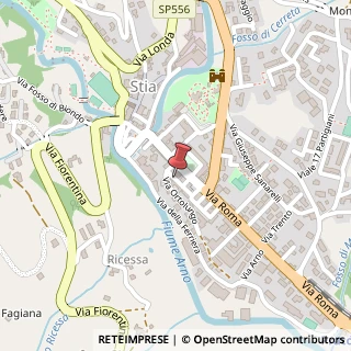 Mappa Via G. Matteotti, 8, 52015 Pratovecchio Stia, Arezzo (Toscana)