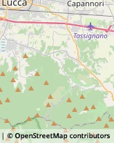 Torrefazione di Caffè ed Affini - Ingrosso e Lavorazione Capannori,55012Lucca