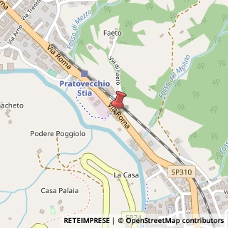Mappa Via Roma, 41, 52015 Pratovecchio Stia, Arezzo (Toscana)