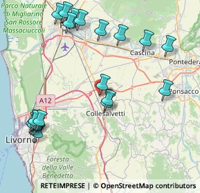 Mappa Via Galileo Galilei, 57014 Livorno LI, Italia (10.135)