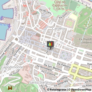 Paste Alimentari - Dettaglio,60121Ancona