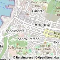 Kart Ancona