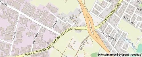 Mappa Casciana Terme Lari