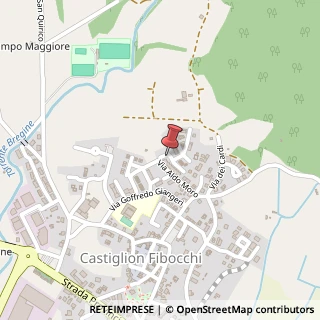 Mappa Piazza Don Luigi Sturzo, 23, 52029 Castiglion Fibocchi, Arezzo (Toscana)