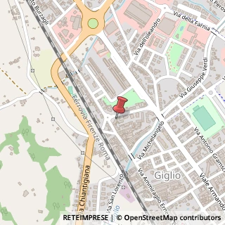 Mappa Viale Armando Diaz, 236/10, 52025 Montevarchi, Arezzo (Toscana)