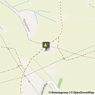 Agriturismi Polverigi,60020Ancona