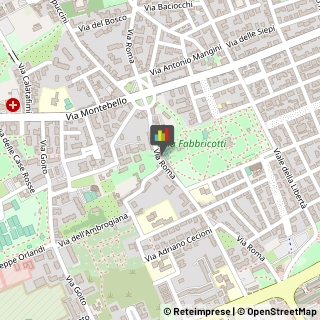 Minerali, Conchiglie e Fossili - Collezionismo,57127Livorno