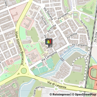 Medie - Scuole Private,57124Livorno