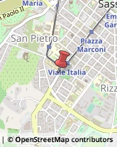 Viale Italia, 43,7100Sassari