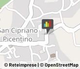 Scuole Pubbliche,84099Salerno
