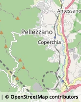 Osteopatia Pellezzano,84080Salerno