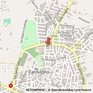 Mappa Via Quasimodo S., 22, 72012 Carovigno, Brindisi (Puglia)