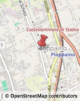 Via Schito, 38,80053Castellammare di Stabia