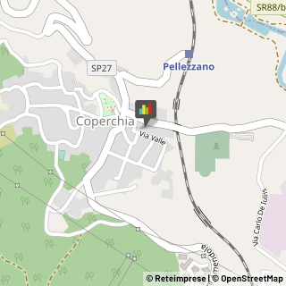 Autotrasporti Pellezzano,84080Salerno