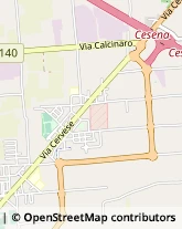 Sartorie Cesena,47522Forlì-Cesena