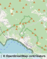 Locande e Camere Ammobiliate Bonassola,19011La Spezia