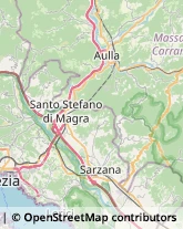 Calzature - Dettaglio Tresana,54012Massa-Carrara