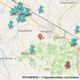 Mappa 47032 Bertinoro FC, Italia (3.43875)