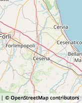 Sartorie Gambettola,47035Forlì-Cesena