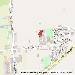 Mappa Via Balitrona, 20d, 47042 Cesenatico, Forlì-Cesena (Emilia Romagna)