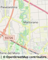 Articoli per Fumatori Cesena,47522Forlì-Cesena